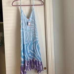 Oliphant Designs — NWT blue ombré zebra dress